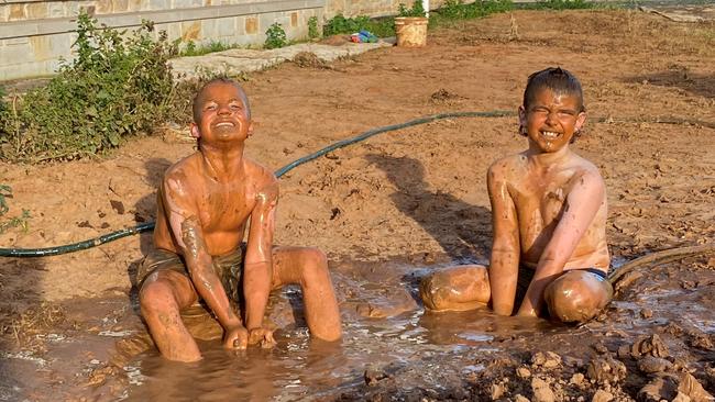 Keeping cool in the mud. Picture: Jan Stone