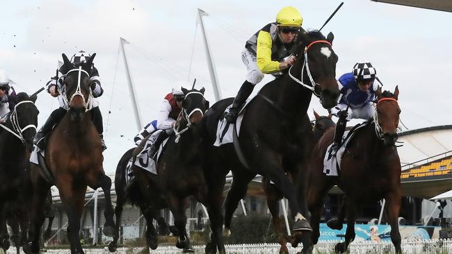 Sidelined: Jason Collett pilots Frankely Awesome to victory in the W J Mckell Cup at Rosehill Gardens.