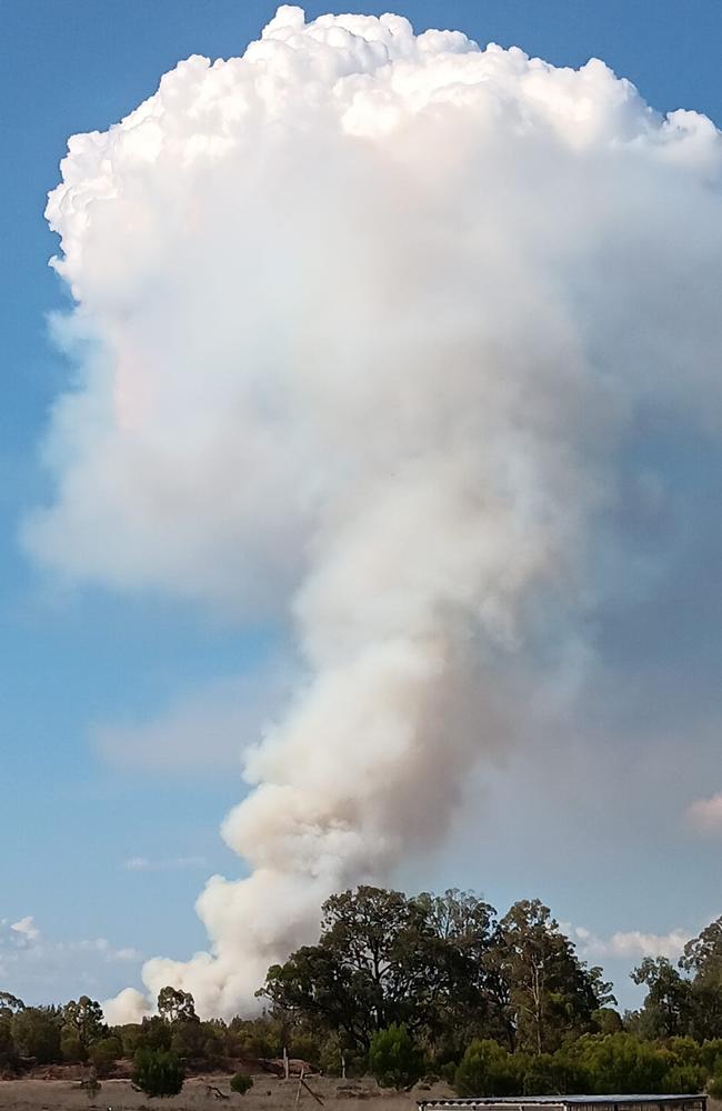 A large fire burns near Kogan 6/11/24