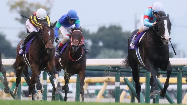 Equinox blitzes the field in the Japan Cup.