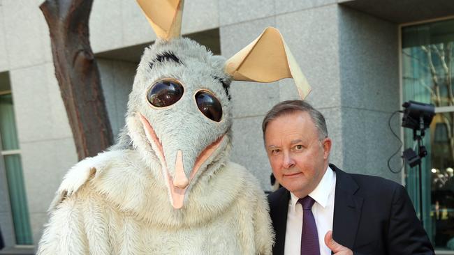 Anthony Albanese with a large bilby. Picture: Gary Ramage