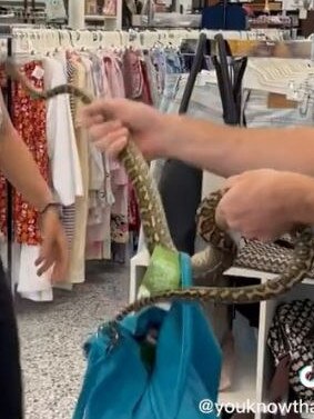 Snake enthusiast, Youknowthatoneguywho on TikTok. Picture: Supplied