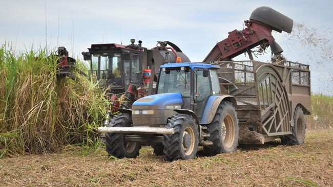 Mackay cane farmers are worried about the impact STL’s decision will have on export costs. Picture: Heidi Petith