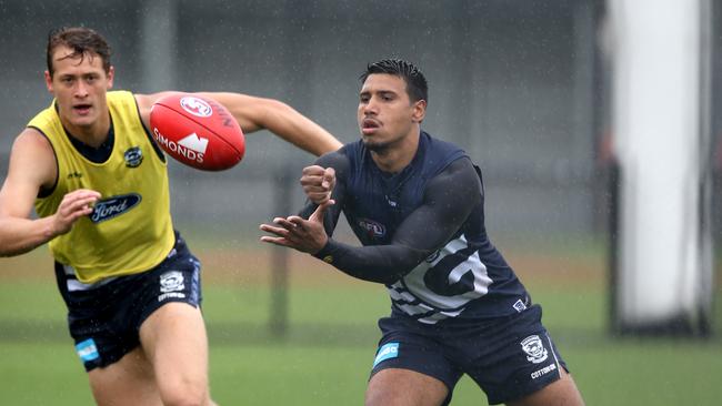 Geelong young star Tim Kelly. Picture: Mike Dugdale