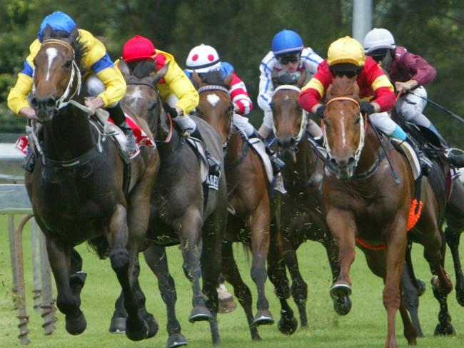 Wyong tips: Extra trip looks beautiful for Rouge