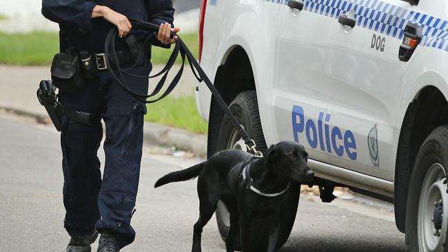 DOG SQUAD: When police executed a search warrant at a Nimbin property, officers involved included the Dog Unit File Picture: Richard Dobson