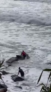 Jetski washes up on rocks in big swell