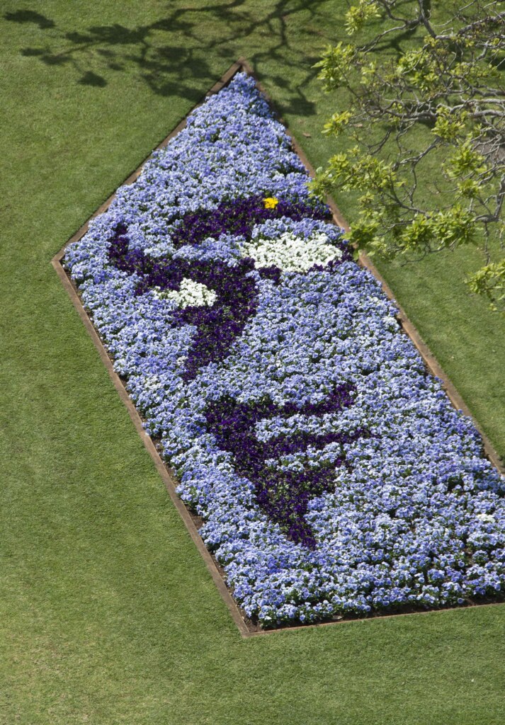 Laurel Bank Park, Carnival of Flowers 2016. Picture: Bev Lacey