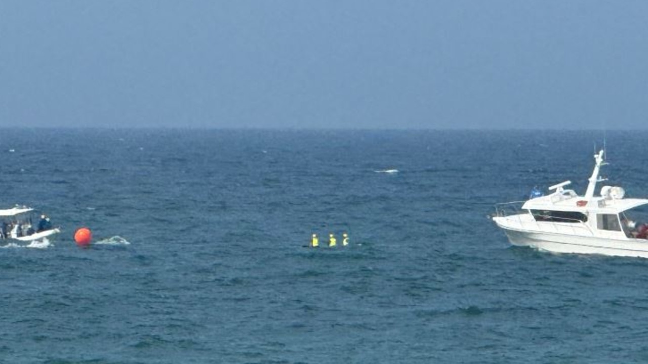 Crews are working to free a whale from shark nets off the Gold Coast.