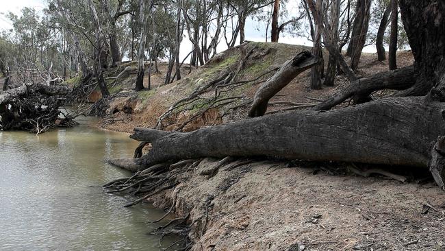 Barmah Choke. Picture: Yuri Kouzmin