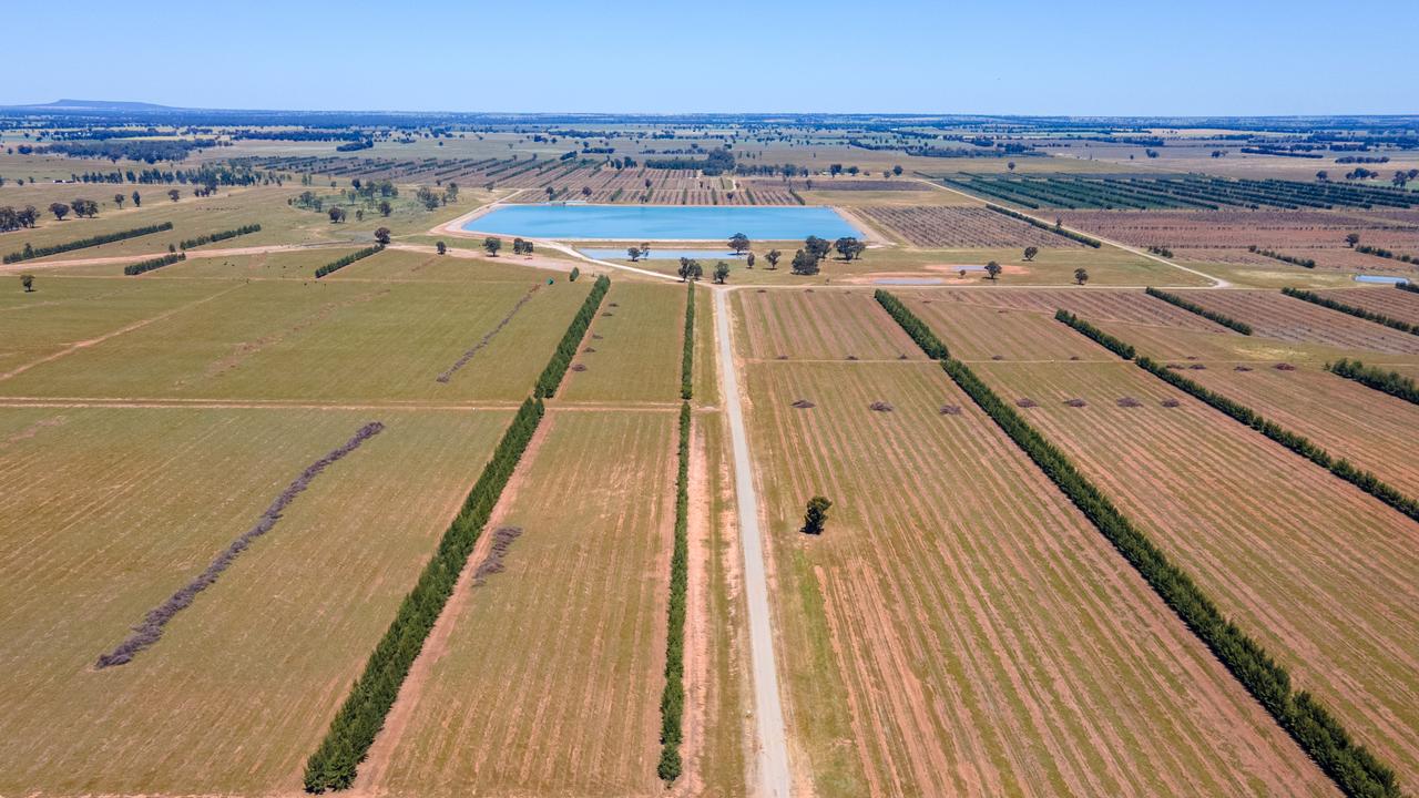 GO.FARM snaps up failed Riverina hazelnut farms