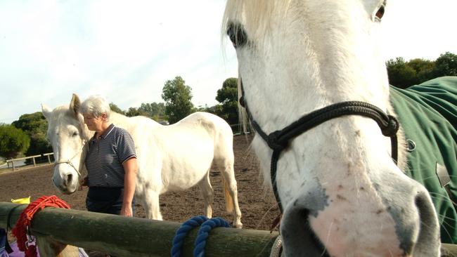 Member of Lockleys Riding Club are concerned about their future. Picture Heidi Linehan