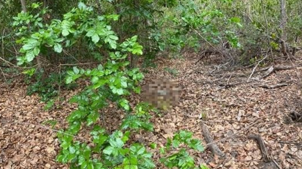 Skull found near Katherine, Northern Territory days after another found ...