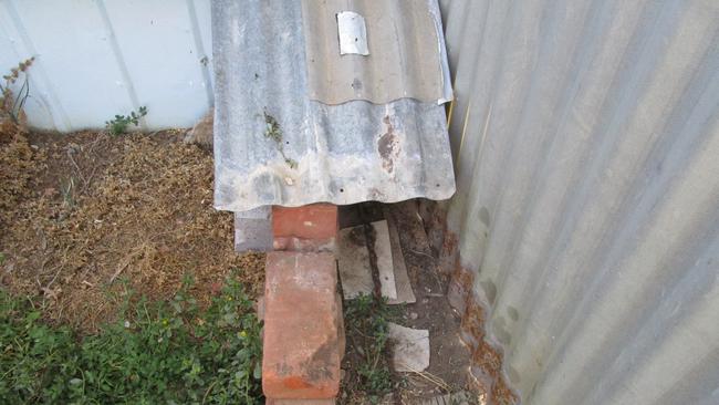 Adolf Von Eimin's backyard at Rosewater, including the brick "funnel" that led to the steel jawed trap. Picture: RSPCA,