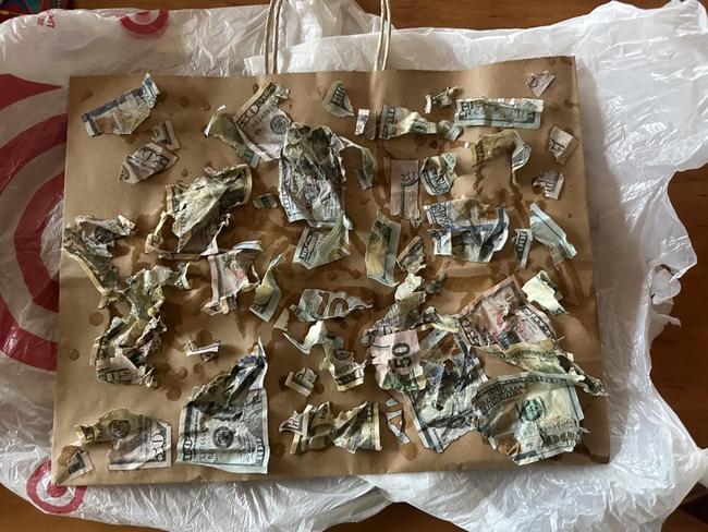 The recovered money after the ruff treatment it received. Picture: Jessica Guay/KDKA