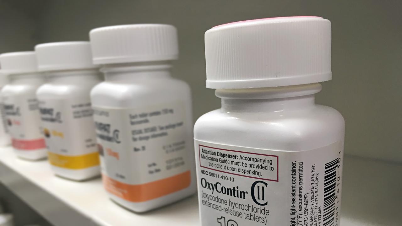 Qld govt blocks release of $400k review into pill testing services