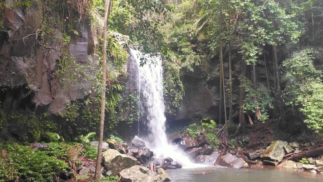 Curtis Falls at Tamborine Mountain.