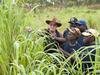 Rangers unite to fight gamba grass threat