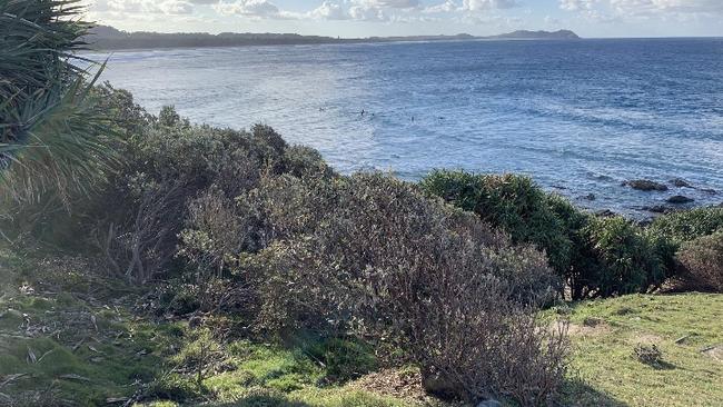 At Broken Head Nature Reserve, south of Byron Bay. Northern NSW. Picture: Amanda Robbemond