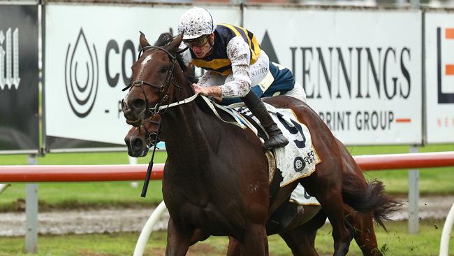 Hezashocka and Chad Schofield charge home to win the Gosford Gold Cup at Newcastle. Picture: Getty Images