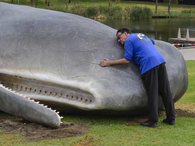 Wednesday March13 2024The Whale that was on Glenelg Beach has been moved to the river Torrens next to The Adelaide festival centre.Pic: RoyVphotography