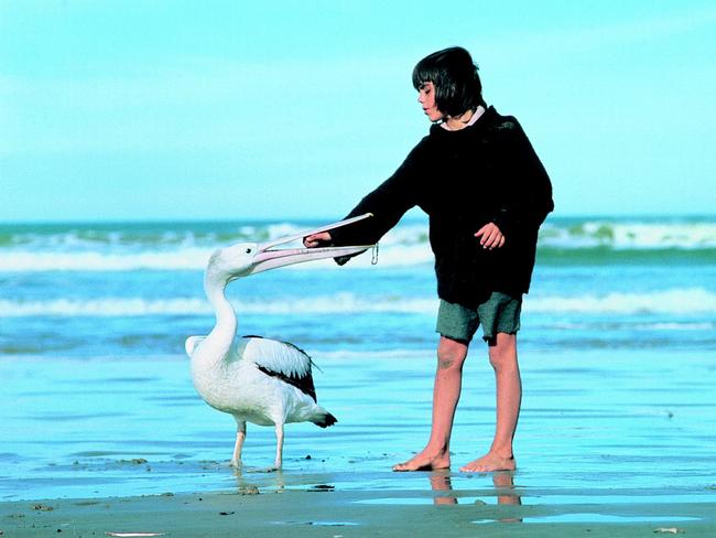 Actor Greg Rowe in scene from the 1976 film Storm Boy. Picture: Supplied