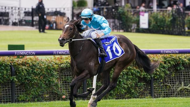 Get In The Spirit under Damian Lane wins the Darley Maribyrnong Trial Stakes. Picture: Scott Barbour – Racing Photos via Getty Images