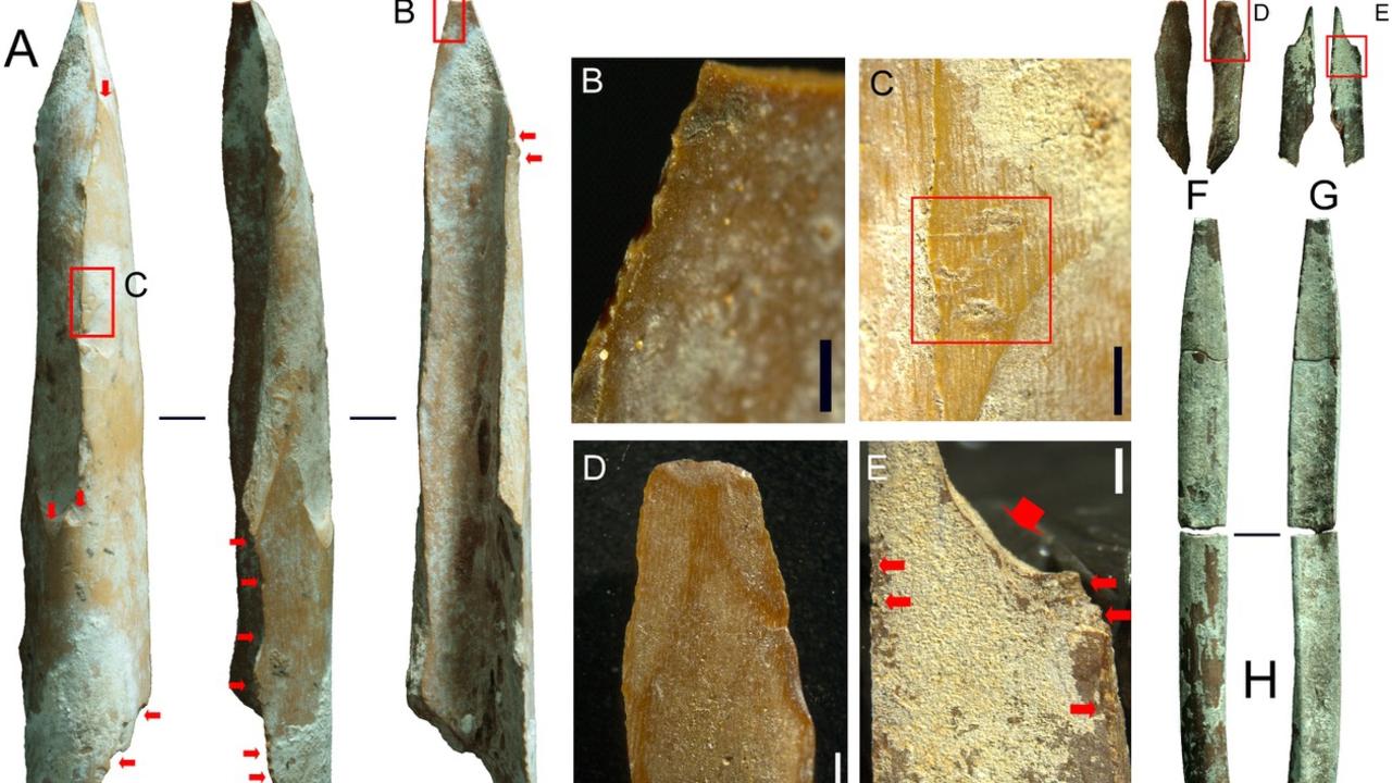 Ancient bone tools found in Riwi Cave in the Kimberley, that are changing long-held scientific beliefs about indigenous culture.