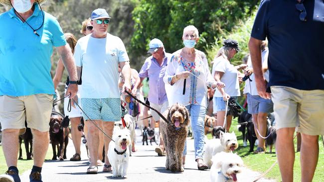 Vivienne Williams gained almost 1000 signatures from dog owners who want La Balsa Park and Point Cartwright Reserve to continue to be a dog friendly area. Picture: Patrick Woods.