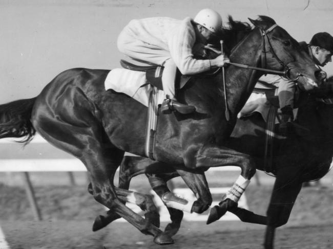 Racehorse Fileur being ridden by jockey Geoff Lane during trackwork 04 Sep. 1968. He appeared to be airborne while working out with Summer Locke being ridden by Winston Parks. (Copyright Herald-Sun Photograph)