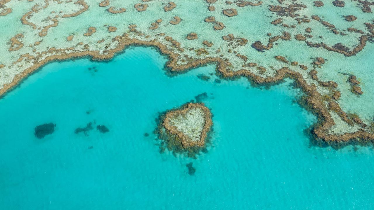 These are the best tours to experience the iconic Great Barrier Reef. Picture: Brooke Miles