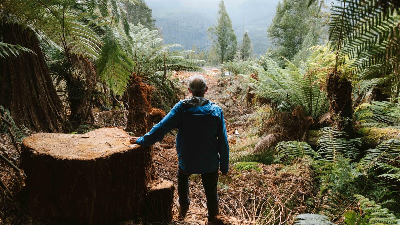 Former Greens leader and environmentalist Bob Brown in the logging coupe he was recently arrested in. Picture: Handout via NCA NewsWire