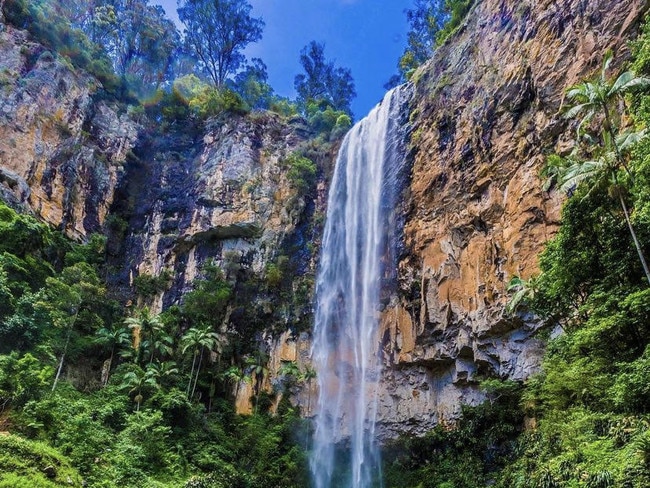 Waterfall at Purling Brook Falls. Photo by: @annemarie.dupreezphotography