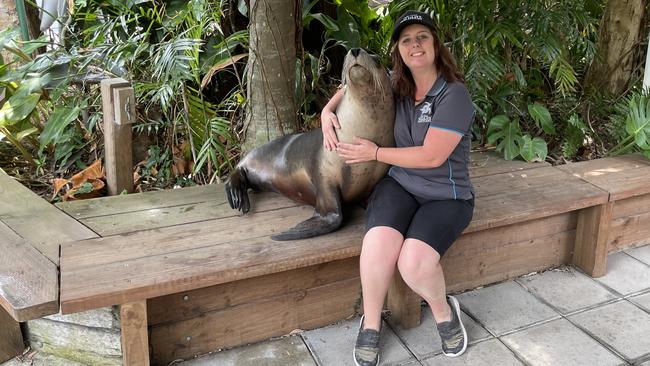 Coffs Coast Wildlife Sanctuary managing director Tiga Cross with Australian sea lion Hugo. Picture: Chris Knight