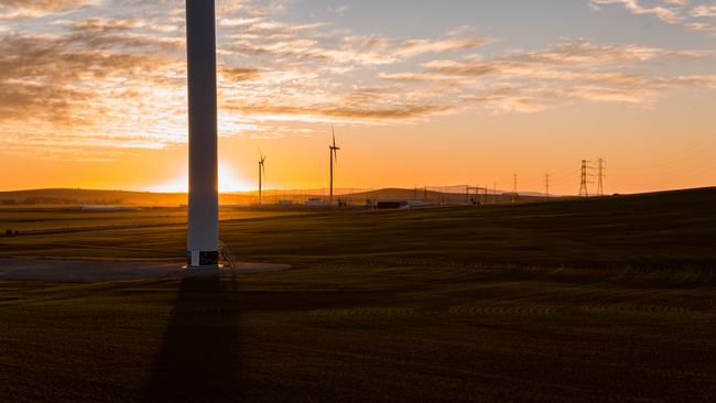 Confidence is growing among renewable investors following Labor’s election win.