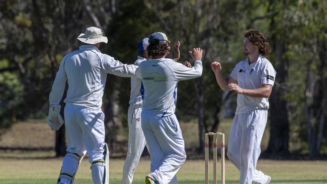 Nick Brown celebrates a wicket for University. Photo: Nev Madsen