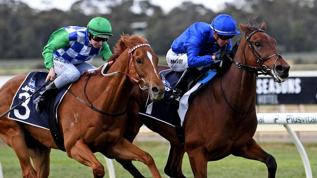 Qewy wins Bendigo Cup, Godolphin to consider Melbourne Cup start ...