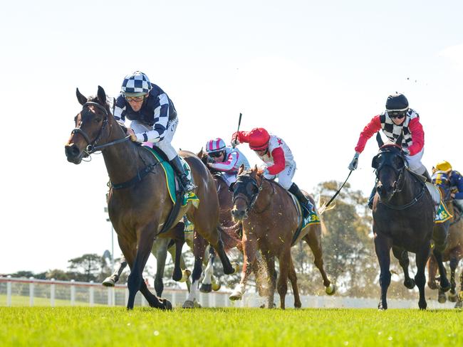 Young Werther (NZ) ridden by Damien Oliver wins the Bet365 Top Tote Plus 3YO Maiden Plate at Geelong Racecourse on September 06, 2020 in Geelong, Australia. (Reg Ryan/Racing Photos via Getty Images)