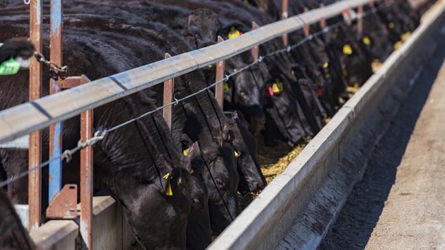 US domestic shortages are driving up beef. Picture: Australian Country Choice