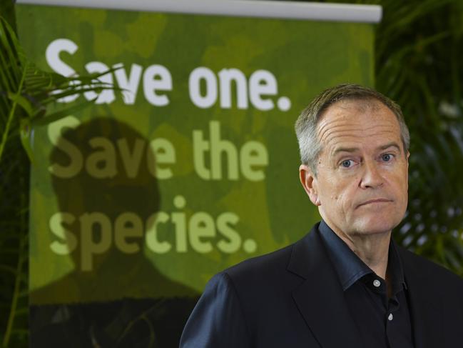 Australian Opposition Leader Bill Shorten speaks to the media during a visit to Australia Zoo at Beerwah near Brisbane, Saturday, May 4, 2019. (AAP Image/Lukas Coch) NO ARCHIVING