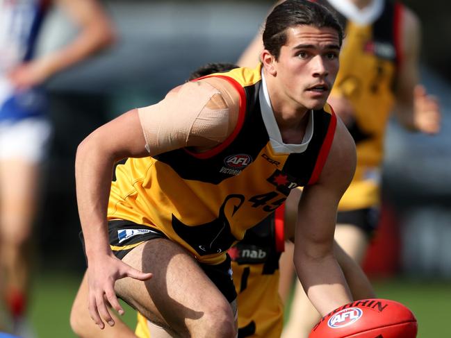 Luca Goonan playing for the Dandenong Stingrays last season.