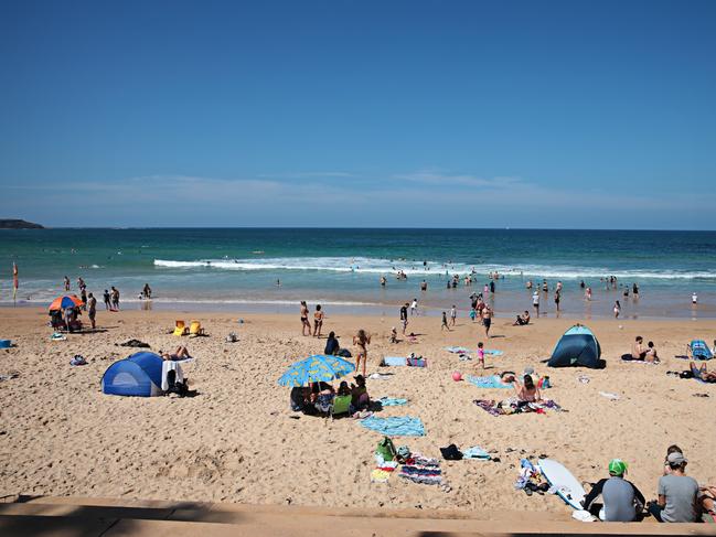 Dee Why has a popular beach and a new town centre, while there are lots of units to rent in the suburb too.