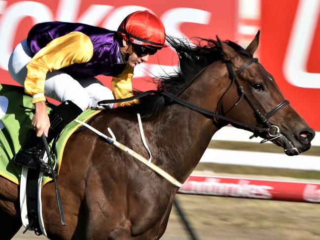 Sassy Boom (Liam Riordan) winning the 2YO Tasmanian Magic Millions Classic in Launceston on Sunday. Picture: Peter Staples