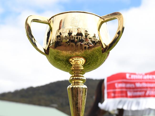 Melbourne Cup winner Almandin with the Melbourne Cup at Macedon Lodge in Melbourne, Wednesday. Nov. 2, 2016. Almandin overcame a potent international challenge to beat the Irish stayer Heartbreak City in the Melbourne Cup, with Hartnell taking the minor placing. (AAP Image/Tracey Nearmy) NO ARCHIVING