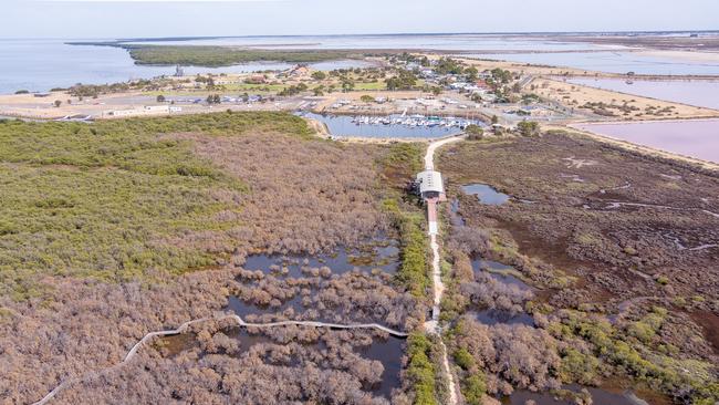 Drone footage reveals damage to mangroves and saltmarsh at St Kilda. Picture: Alex Mausolf