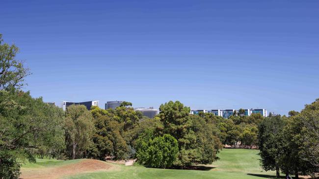 Views from North Adelaide Golf Club where LIV is set to be held in 2028. Picture: Russell Millard Photography