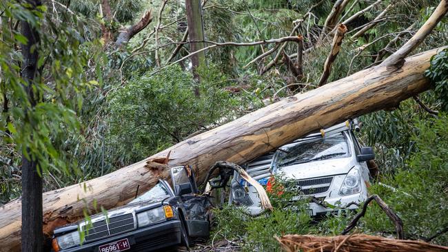 Storm damage in Kalorama. Picture: Jason Edwards