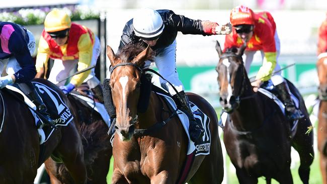 Sheeza Belter can go back-to-back in the JJ Atkins Stakes at Eagle Farm on Saturday. Picture: Grant Peters-Trackside Photography