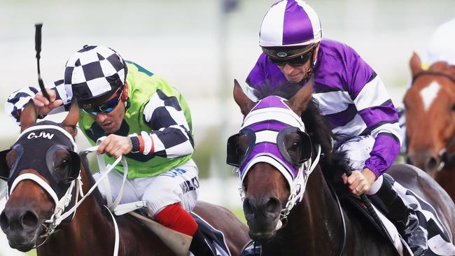 SYDNEY, AUSTRALIA — APRIL 21: Glyn Schofield on Higher Ground (R) wins race 4 from Michael Walker on Tangled (L) during the All Aged Stakes Day as part of Sydney Racing at Royal Randwick Racecourse on April 21, 2018 in Sydney, Australia. (Photo by Mark Evans/Getty Images)