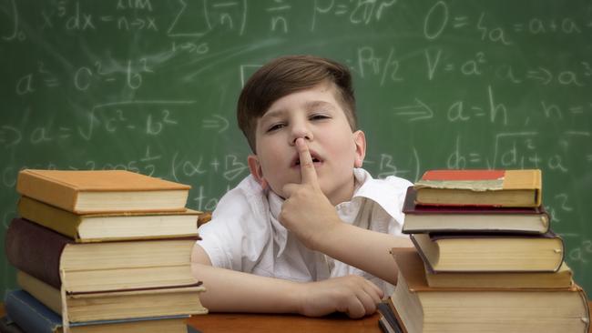 Where do you think new schools are needed? Did they get it right? Picture: iStock